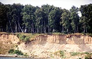 NPK